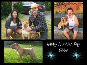 Nikko adoption day