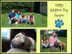 Samson Adoption Day